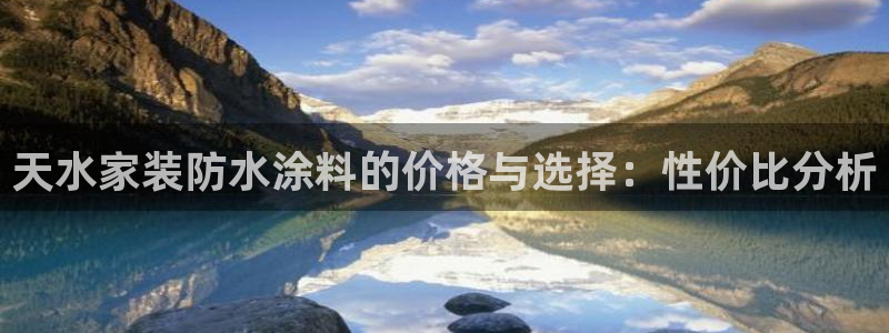 和记国际：天水家装防水涂料的价格与选择：性价比分析