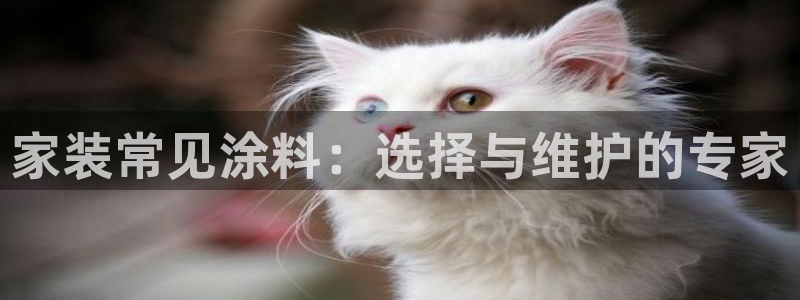 和记ag旗舰厅app：家装常见涂料：选择与维护的专家