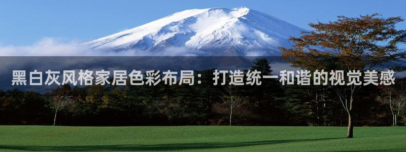 和记国际客服：黑白灰风格家居色彩布局：打造统一和谐的视觉美感