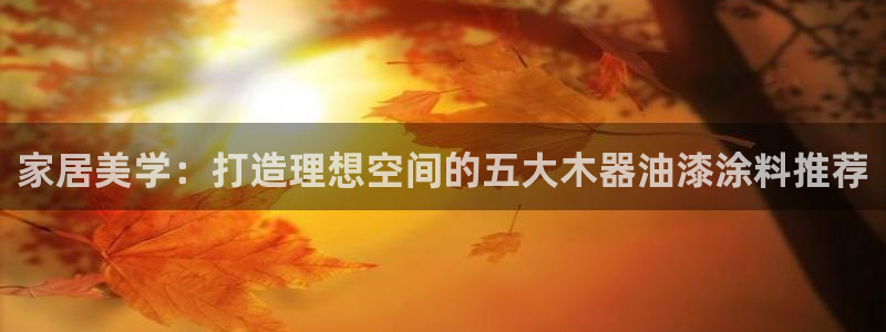 和记最新官方网址：家居美学：打造理想空间的五大木器油漆涂料推荐