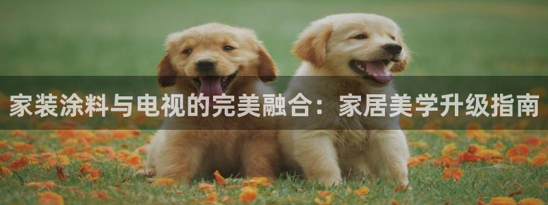 和记(福建)商贸有限公司