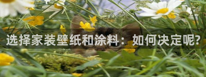 官方和记国际平台登录：选择家装壁纸和涂料：如何决定呢?