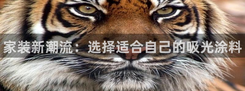 和记官网首页：家装新潮流：选择适合自己的吸光涂料