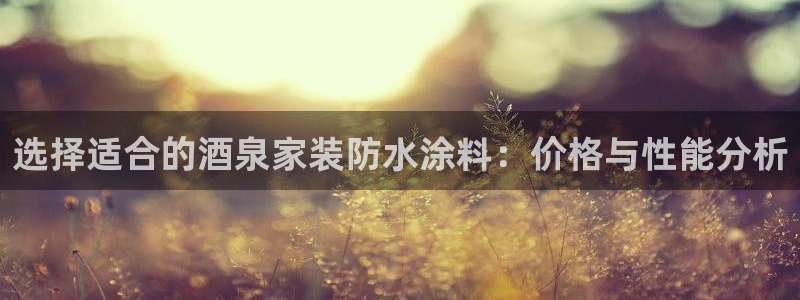 和记网页版登陆：选择适合的酒泉家装防水涂料：价格与性能分析