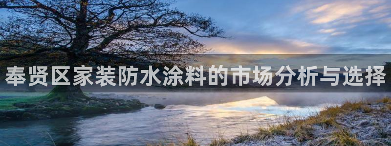 和记pc：奉贤区家装防水涂料的市场分析与选择