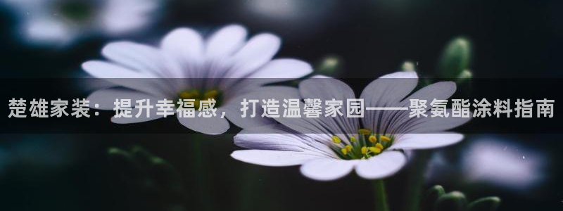 和记ag网页版：楚雄家装：提升幸福感，打造温馨家园——聚氨酯涂料指南