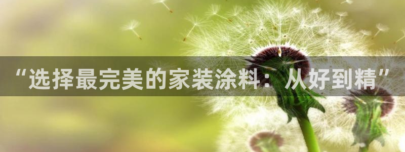 和记广告女主角：“选择最完美的家装涂料：从好到精”