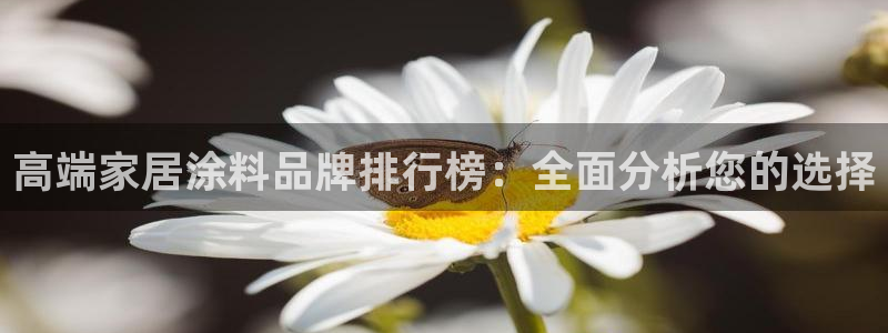 和记官网 公司：高端家居涂料品牌排行榜：全面分析您的选择