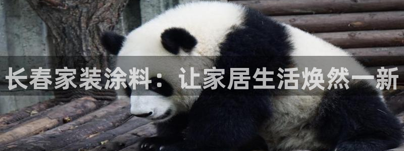 和记国际电讯市值：长春家装涂料：让家居生活焕然一新