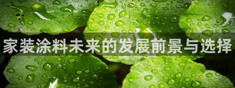 和记国际开户：家装涂料未来的发展前景与选择