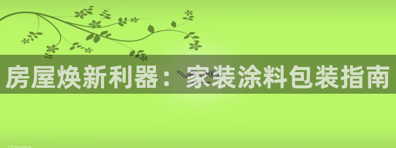 和记广告女主角：房屋焕新利器：家装涂料包装指南