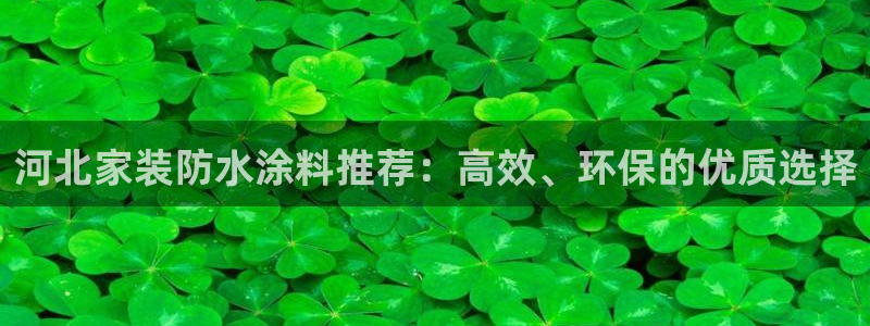 和记网页：河北家装防水涂料推荐：高效、环保的优质选择
