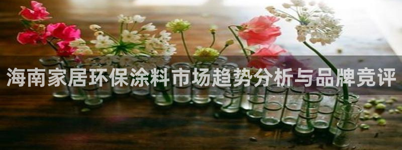 和记国际官网官网：海南家居环保涂料市场趋势分析与品牌竞评