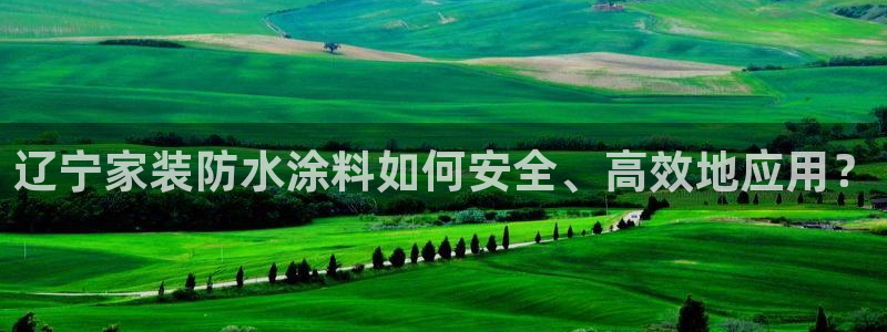 和记注册有什么送的：辽宁家装防水涂料如何安全、高效地应用？