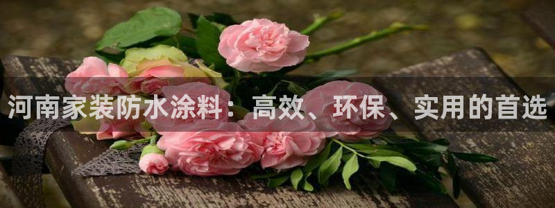 和记网页版登陆：河南家装防水涂料：高效、环保、实用的首选